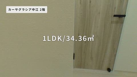 紹介ムービー