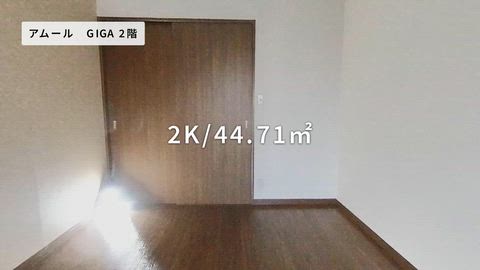動画