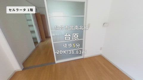 紹介ムービー