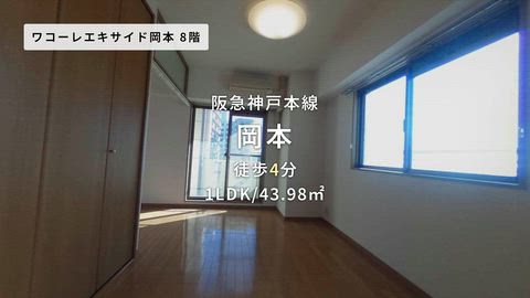 動画