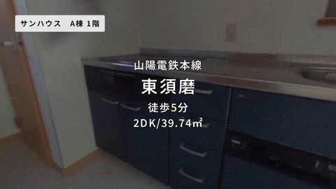 動画