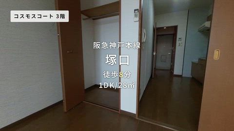 動画