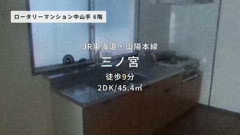 動画