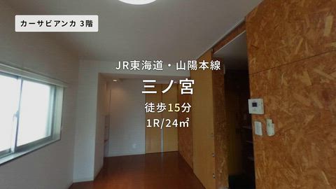動画
