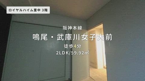 動画