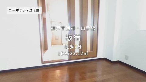 動画