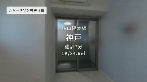 動画