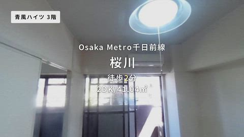 動画