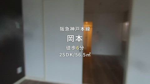 動画
