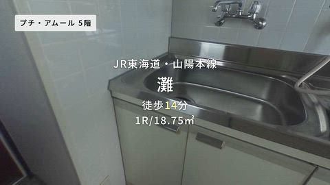 動画