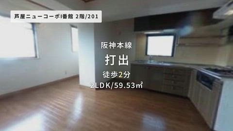 動画
