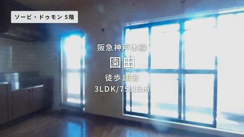動画