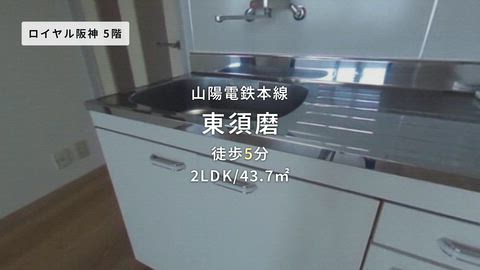 動画