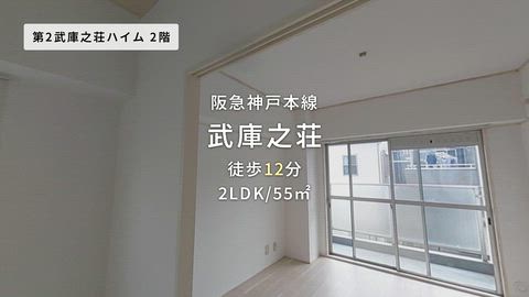 動画