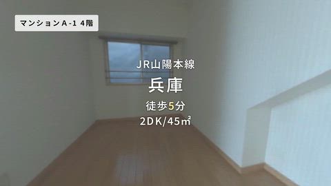 動画