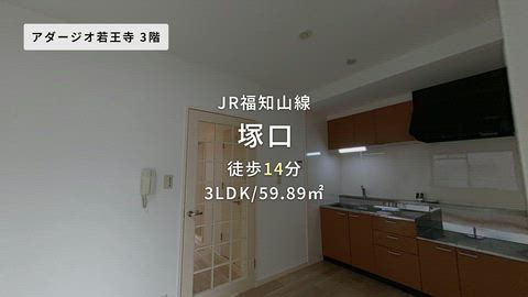 動画