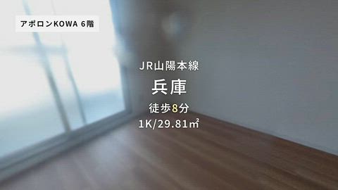 動画