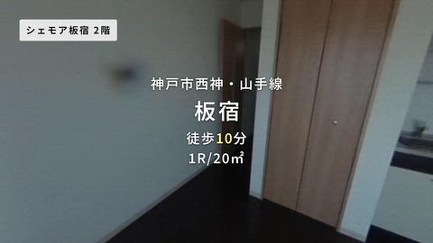 動画