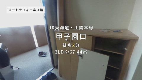 動画