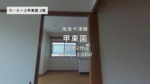 動画