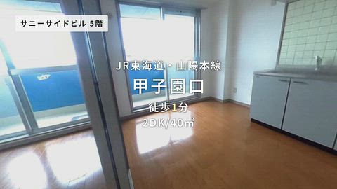 動画