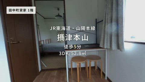 動画