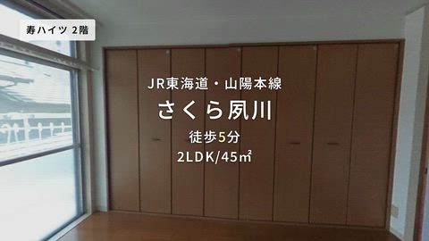 動画