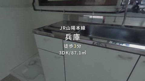 動画