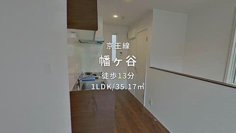 動画