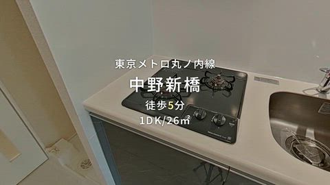 動画