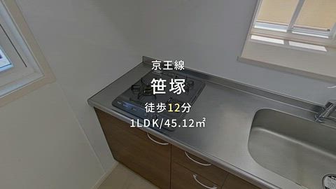動画