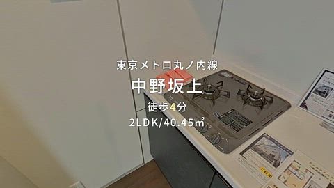 動画