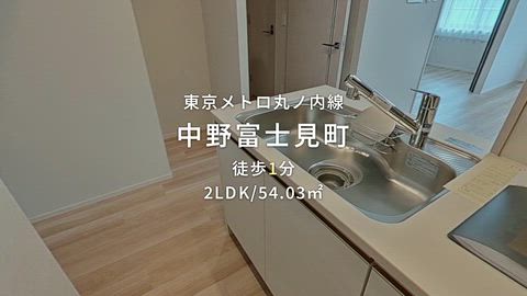 動画