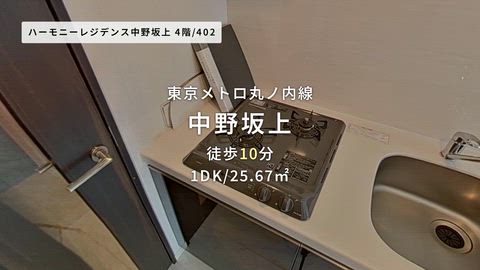 動画