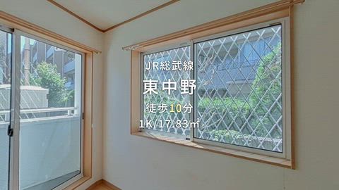 動画