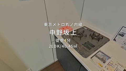 動画