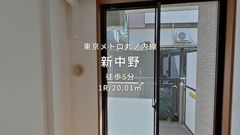 動画