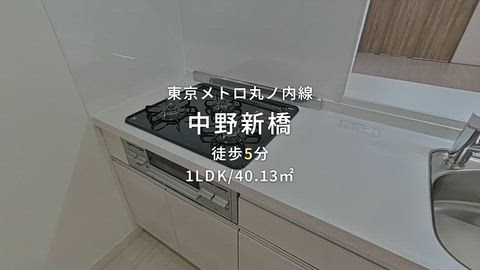 動画