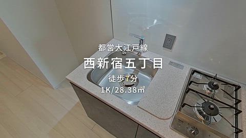 動画