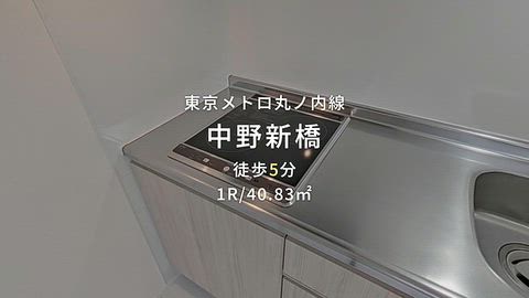 動画