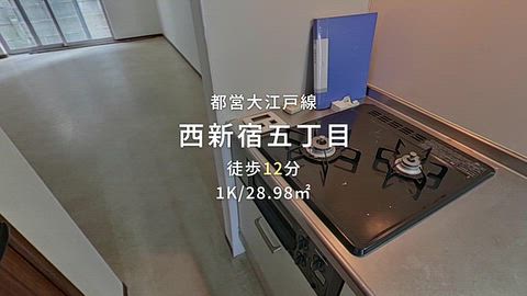 動画