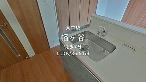 動画