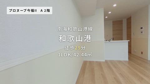 動画