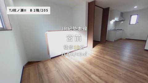 動画