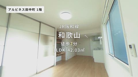 動画