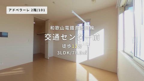 紹介ムービー