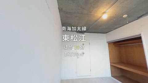 動画