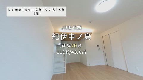 動画