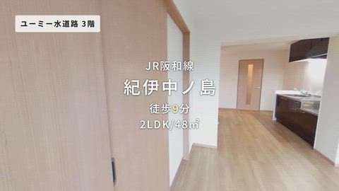 動画