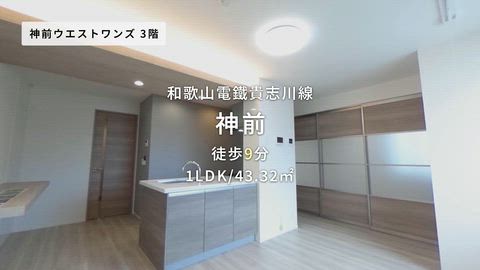 動画